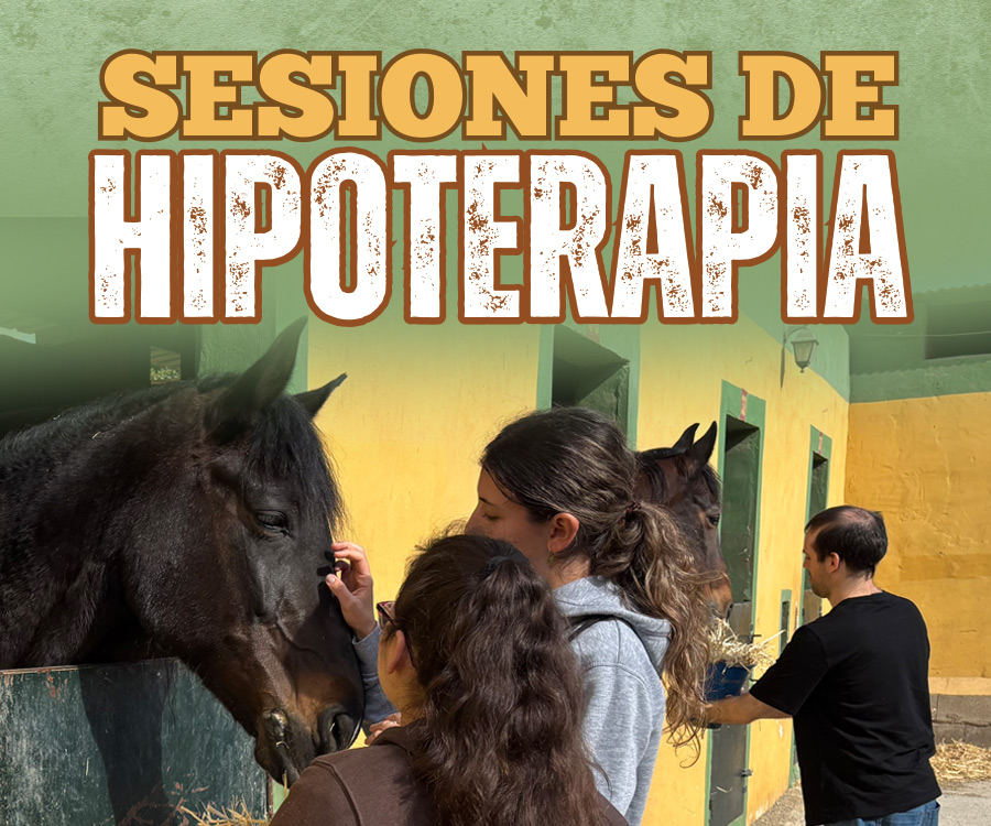 Hipoterapia. Sesiones terapeúticas con caballos. 9 y 16 de abril de 2026