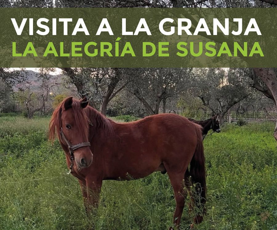 Visita a la Granja La Alegría de Susana. 11 de noviembre de 2025