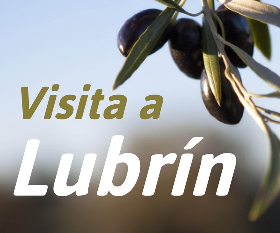 Viista a Lubrín. Viernes, 20 de junio de 2025