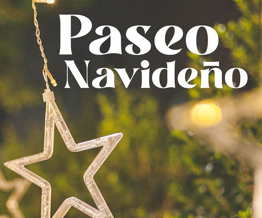 Paseo Navideño en Almería. 17 de diciembre de 2025