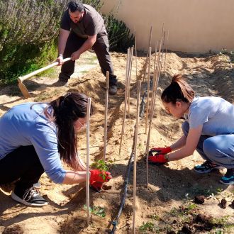Galeria de Fotos: Escuela Infantil La Tortuga Feliz 06. El Saliente
