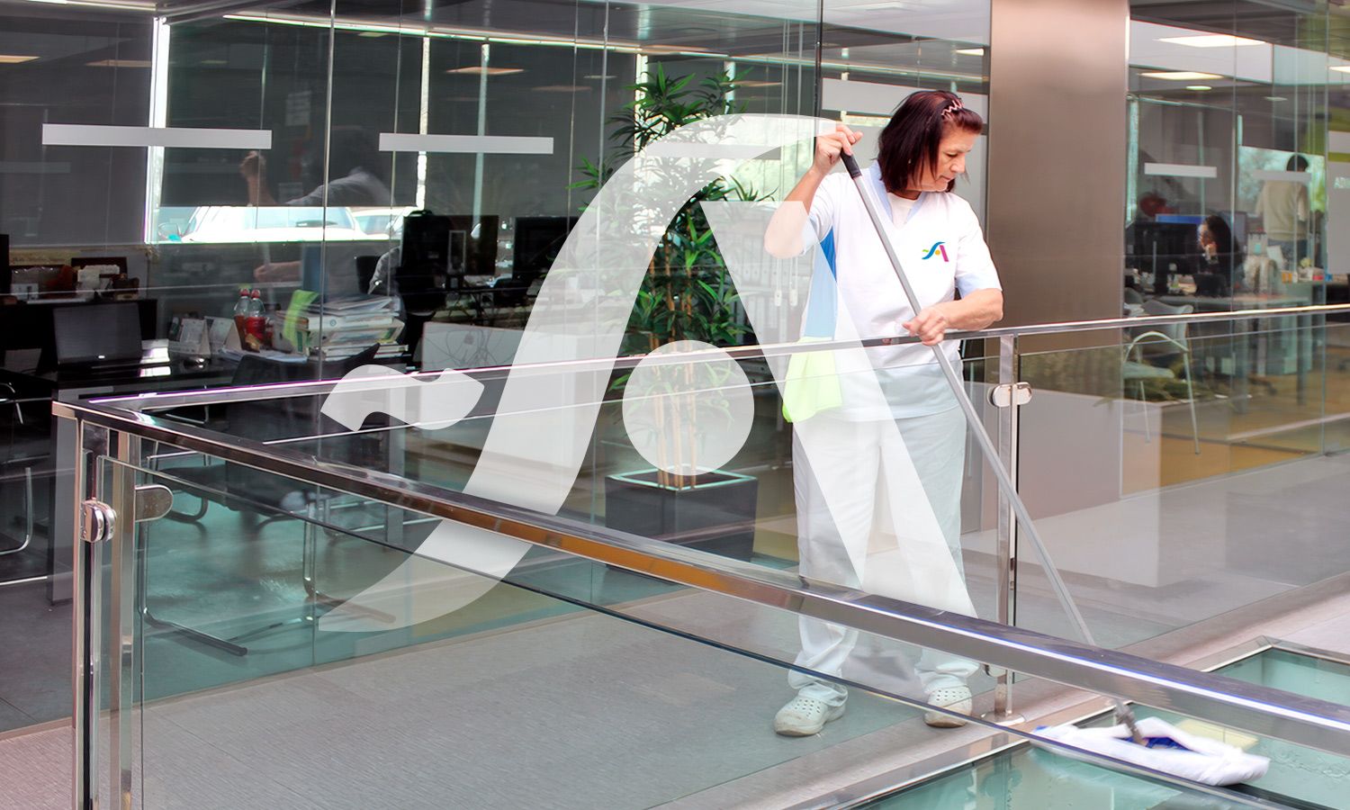 Portada de Limpieza. Servicios Especializados El Saliente