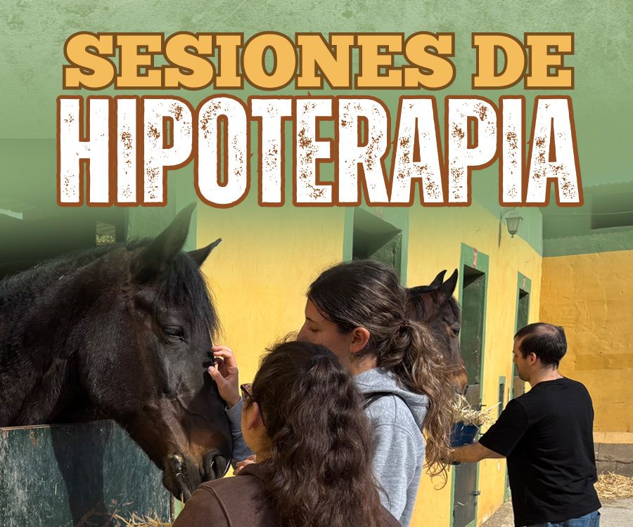 Hipoterapia. Sesiones terapeúticas con caballos. 19 y 26 de marzo de 2026