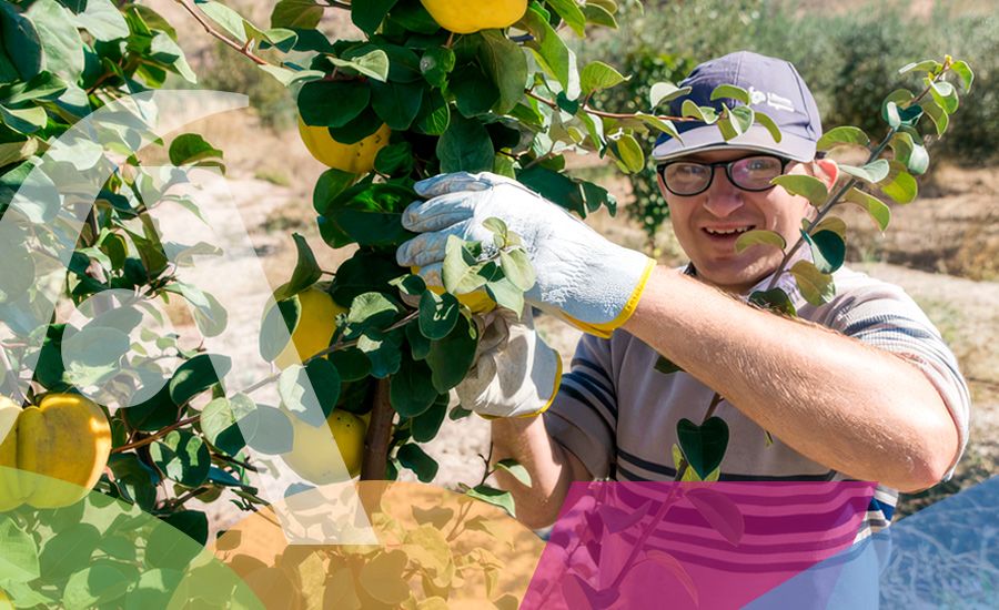 Centro de día ocupacional. Servicios de Atención a la Dependencia y Discapacidad. El Saliente