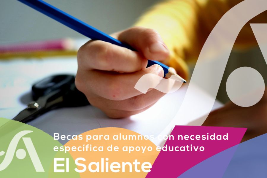 Noticia: Becas y ayudas para alumnos con necesidad específica de apoyo educativo