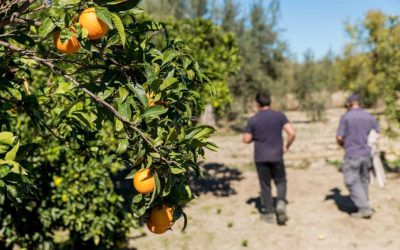 El Saliente desarrolla el proyecto “Formar para el futuro” de empleo juvenil