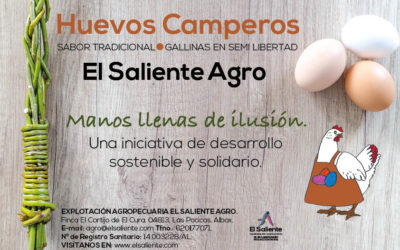Manos llenas de ilusión cuidan nuestros huevos camperos