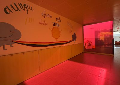 WhatsApp Image 2026-01-13 at 12.48.13 (2)